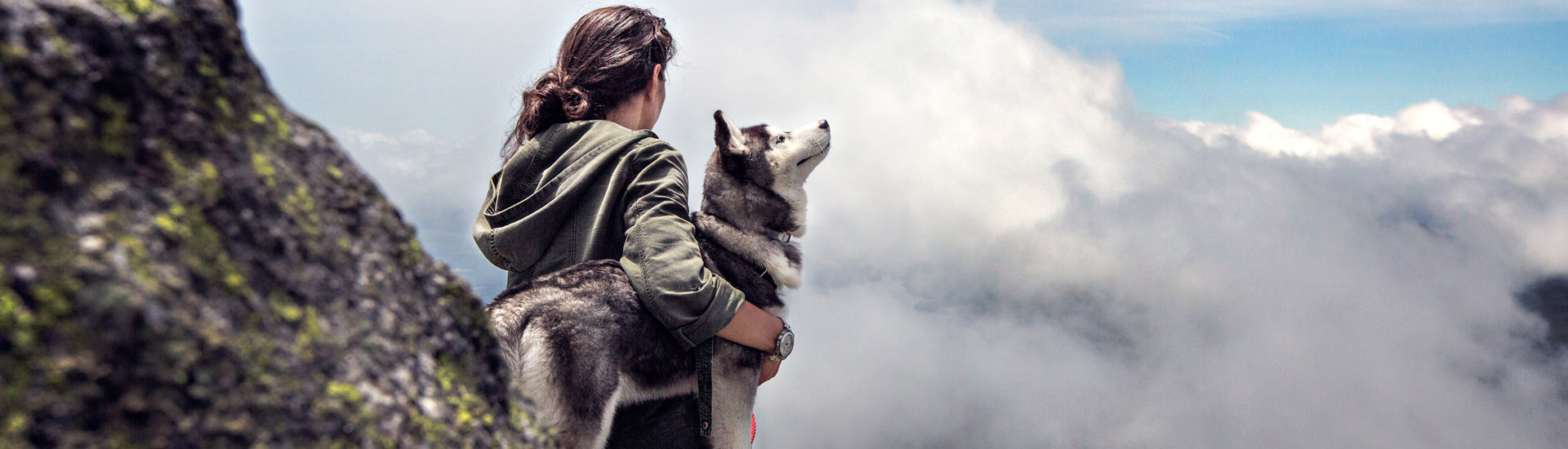 Take your pet on a trip together