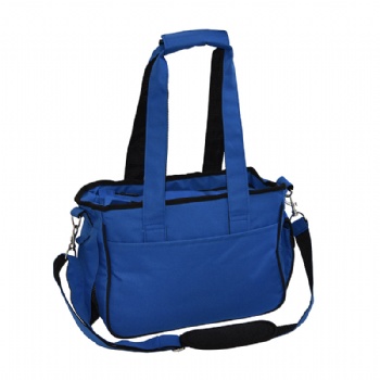Small Foldable  Pet Carrier