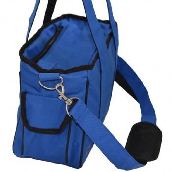Small Foldable  Pet Carrier