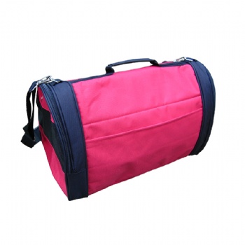 Foldable Pet Carrier
