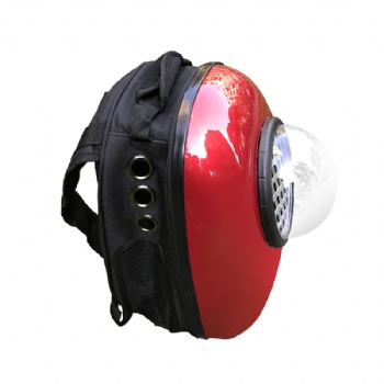 Foldable Pet Backpack