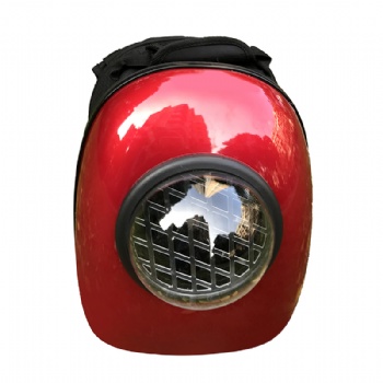 Foldable Pet Backpack
